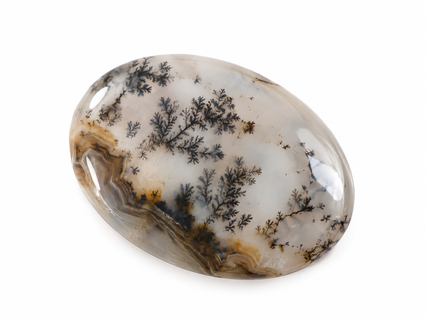 سنگ شجر ( Dendritic Agate)