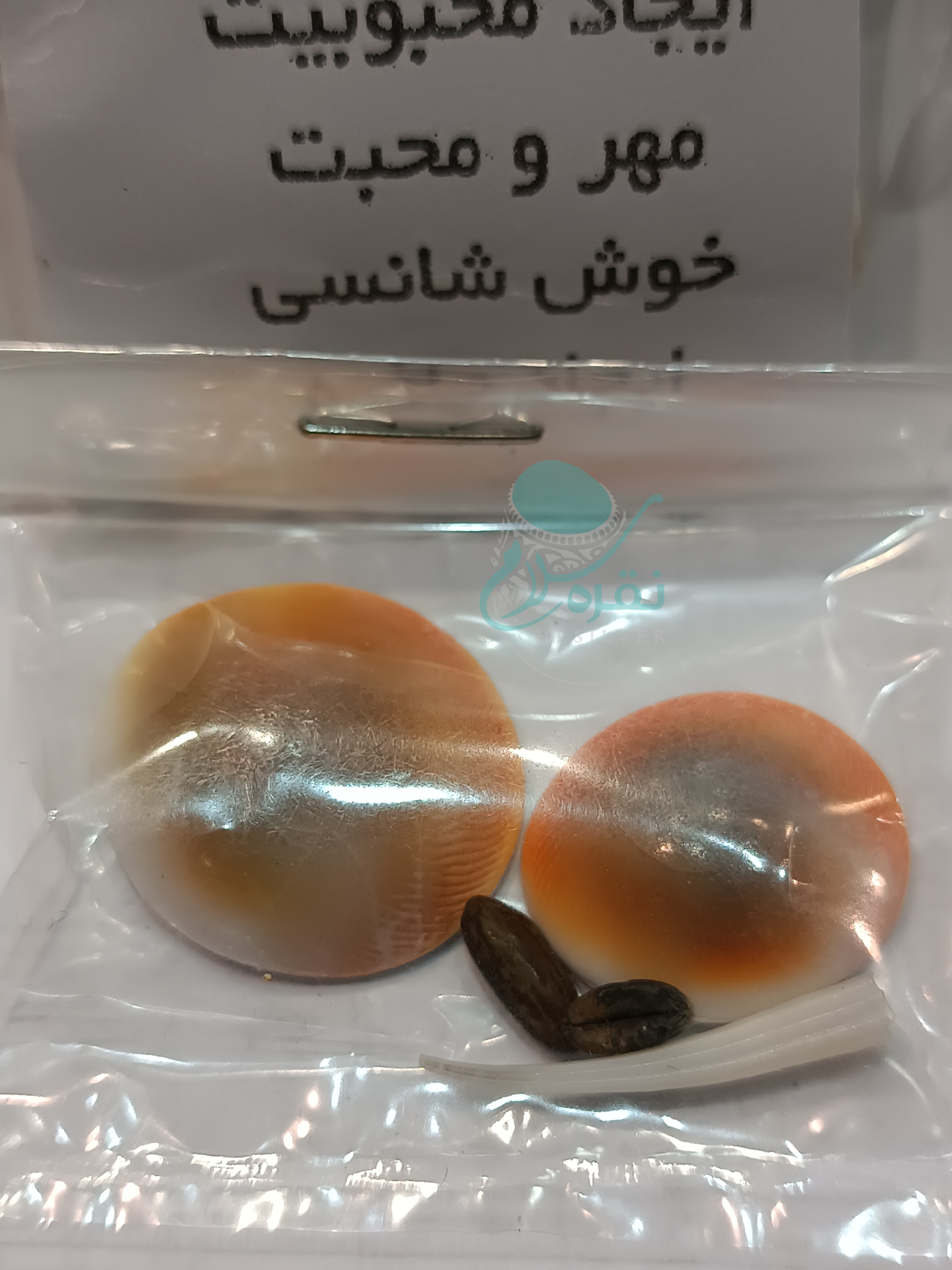 مهره مار مامبای آفریقایی به همراه جو و نیش